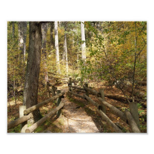 Photographischer Druck des Schicksals-10x8