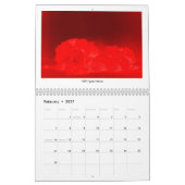 photographischer KALENDER DER KUNST-2016 v2 durch (Feb 2027)