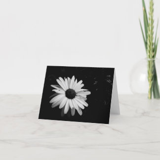 Photography Notecards Karte