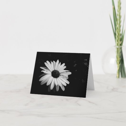 Photography Notecards Karte (Vorderseite)