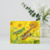 Photorealistic Grasshopper Playing Saxophone Postkarte (Stehend Vorderseite)