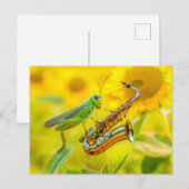 Photorealistic Grasshopper Playing Saxophone Postkarte (Vorne/Hinten)