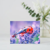 Photorealistic Ladybug Playing Violin on Lavender Postkarte (Stehend Vorderseite)