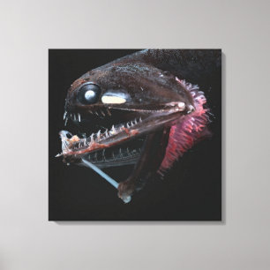 Photostomias Guernei Leinwanddruck