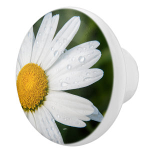 Phototürgriff machen ein margueritte Grün Keramikknauf