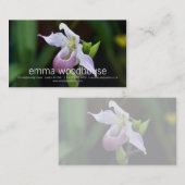 Phragmipedium-Orchidee Visitenkarte (Vorne/Hinten)