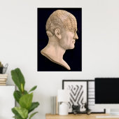 Phrenologie 1834 poster (Heimbüro)