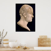 Phrenologie 1834 poster (Küche)