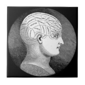 Phrenologie-Hauptdiagramm Fliese (Vorderseite)