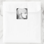 Phrenologie Kopfdiagramm Quadratischer Aufkleber (Tasche)