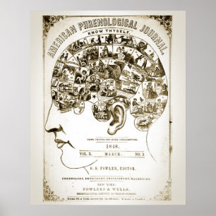 Phrenologie Poster