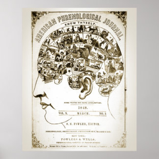 Phrenologie Poster