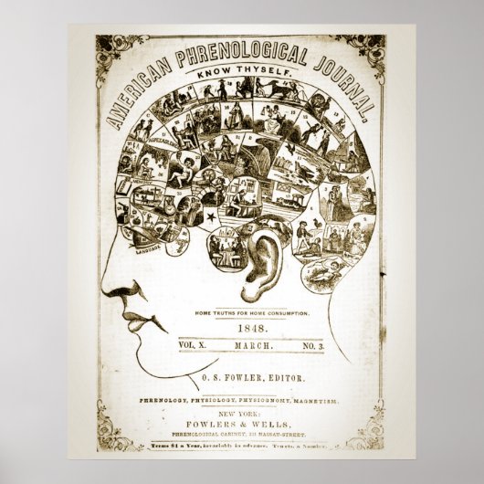 Phrenologie Poster (Vorne)