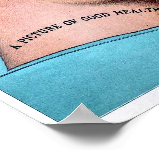 Phrenologie-Poster Poster (Ecke)