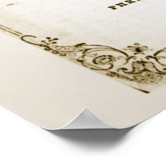 Phrenologie-Poster Poster (Ecke)