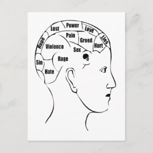 Phrenologie Postkarte