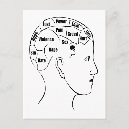 Phrenologie Postkarte (Vorderseite)