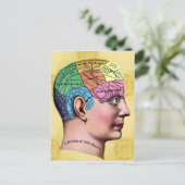 Phrenologie Postkarte (Stehend Vorderseite)