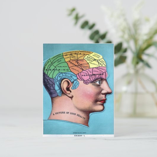 Phrenologie Postkarte (Stehend Vorderseite)