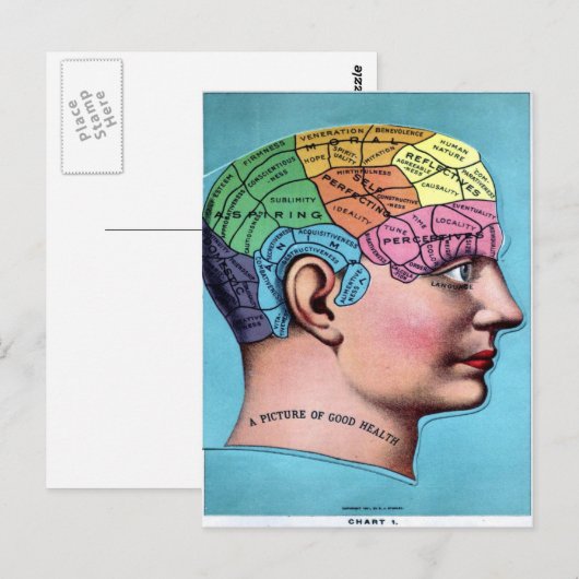 Phrenologie Postkarte (Vorne/Hinten)