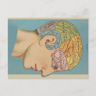 Phrenologie Postkarte