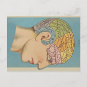 Phrenologie Postkarte (Vorderseite)