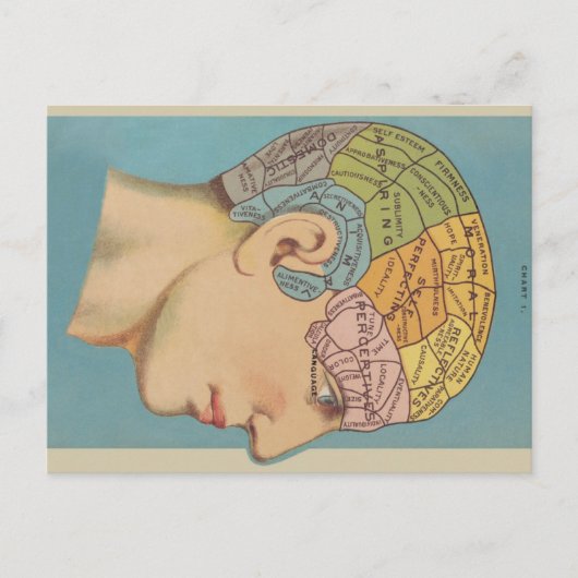 Phrenologie Postkarte (Vorderseite)