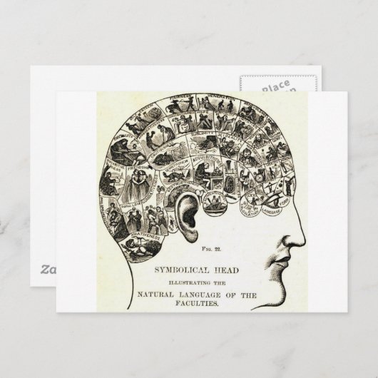 Phrenologie Postkarte (Vorne/Hinten)