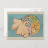 Phrenologie Postkarte (Vorne/Hinten)