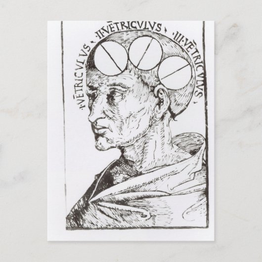 Phrenologie Postkarte (Vorderseite)