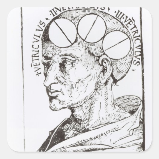 Phrenologie Quadratischer Aufkleber (Vorderseite)
