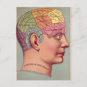 Phrenologie Vintage Art Bild von guter Gesundheit Postkarte