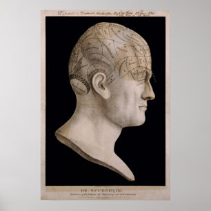 Phrenologiediagramm Dr. Spurzheims Poster