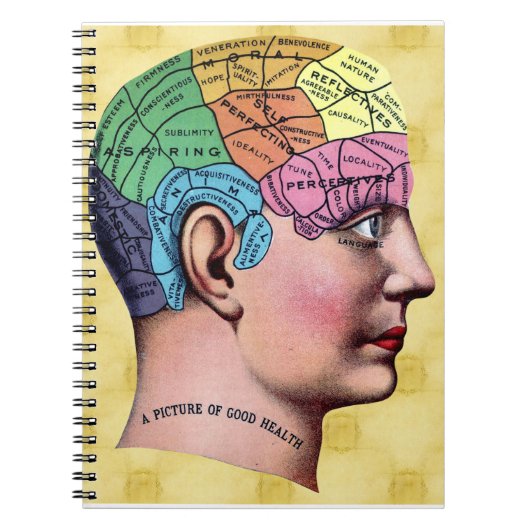 Phrenology Notebook Notizblock (Vorderseite)