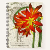 Phycella Fulgens-Notebook Notizblock (Vorderseite)