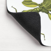 Phyllium Siccifolia Mousepad (Ecke)