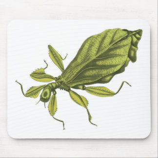 Phyllium Siccifolia Mousepad