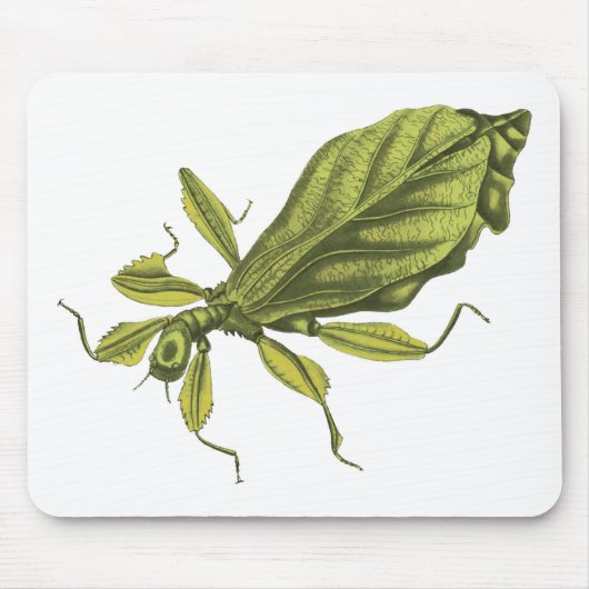 Phyllium Siccifolia Mousepad (Vorne)