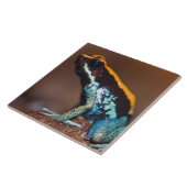 Phyllobates vittatus, ein Giftpfeiffrosch Fliese (Seite)