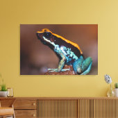 Phyllobates vittatus, ein Giftpfeiffrosch Leinwanddruck (Insitu (Wohnzimmer))
