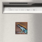 Phyllobates vittatus, ein Giftpfeiffrosch Magnet (In Situ (Geschirrspüler))