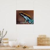 Phyllobates vittatus, ein Giftpfeiffrosch Poster (Küche)