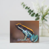 Phyllobates vittatus, ein Giftpfeiffrosch Postkarte (Stehend Vorderseite)