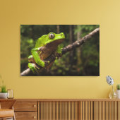 Phyllomedusa bicolor) 2 leinwanddruck (Insitu (Wohnzimmer))