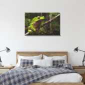 Phyllomedusa bicolor) 2 leinwanddruck (Insitu (Schlafzimmer))