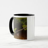 Phyllomedusa bicolor) 2 tasse (Vorderseite Links)