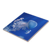 Phyllorhiza Punctata Fliese (Seite)