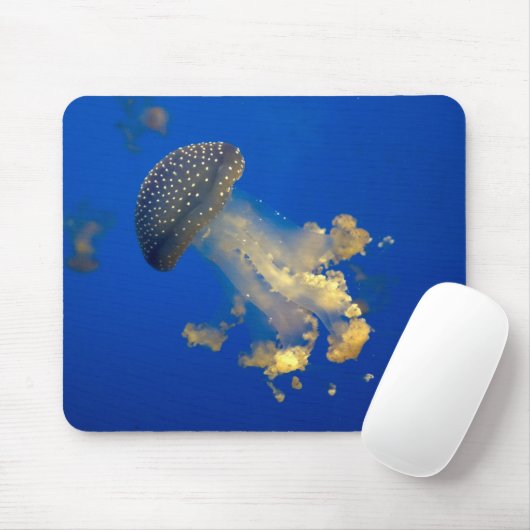 Phyllorhiza punctata mousepad (Mit Mouse)