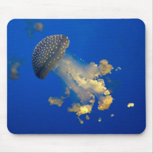 Phyllorhiza punctata mousepad