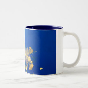 Phyllorhiza punctata zweifarbige tasse